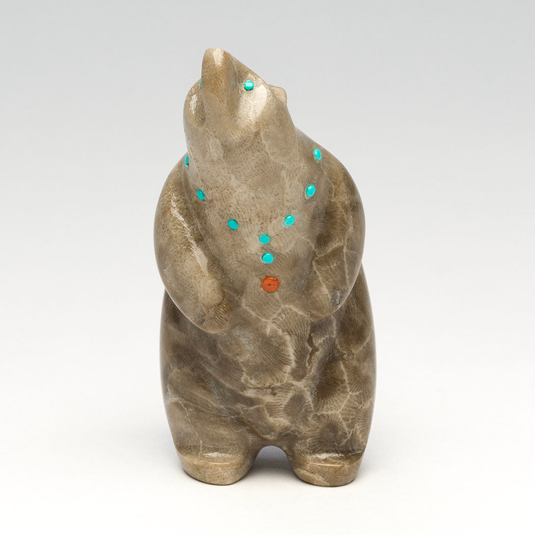 Journey Through Time Bear