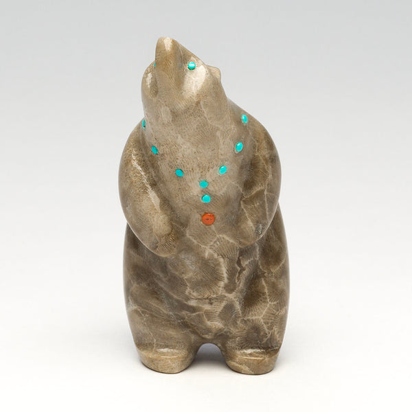 Journey Through Time Bear