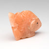 Fallen Leaves Fish