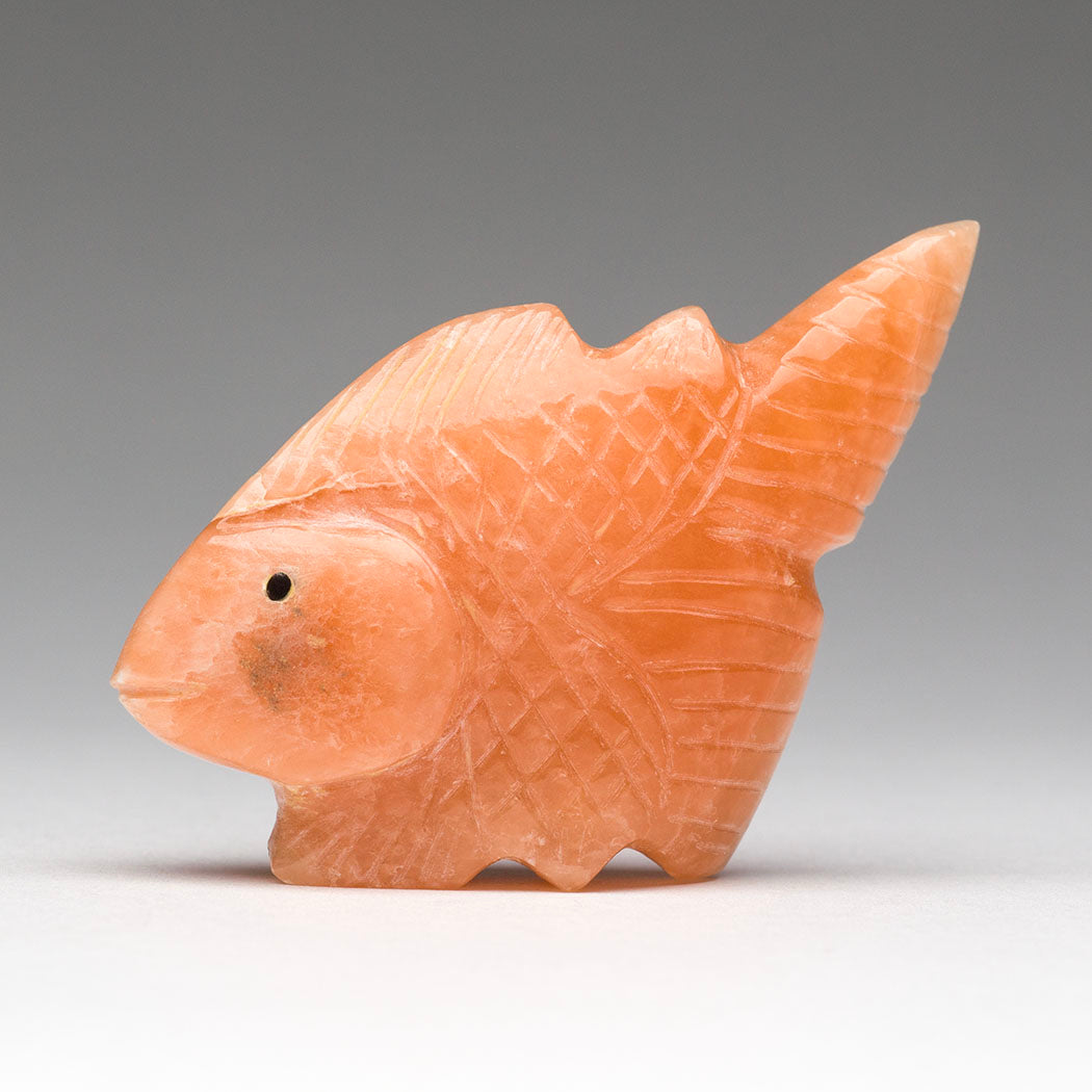 Fallen Leaves Fish