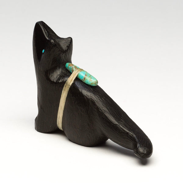 Noble Wanderer Coyote