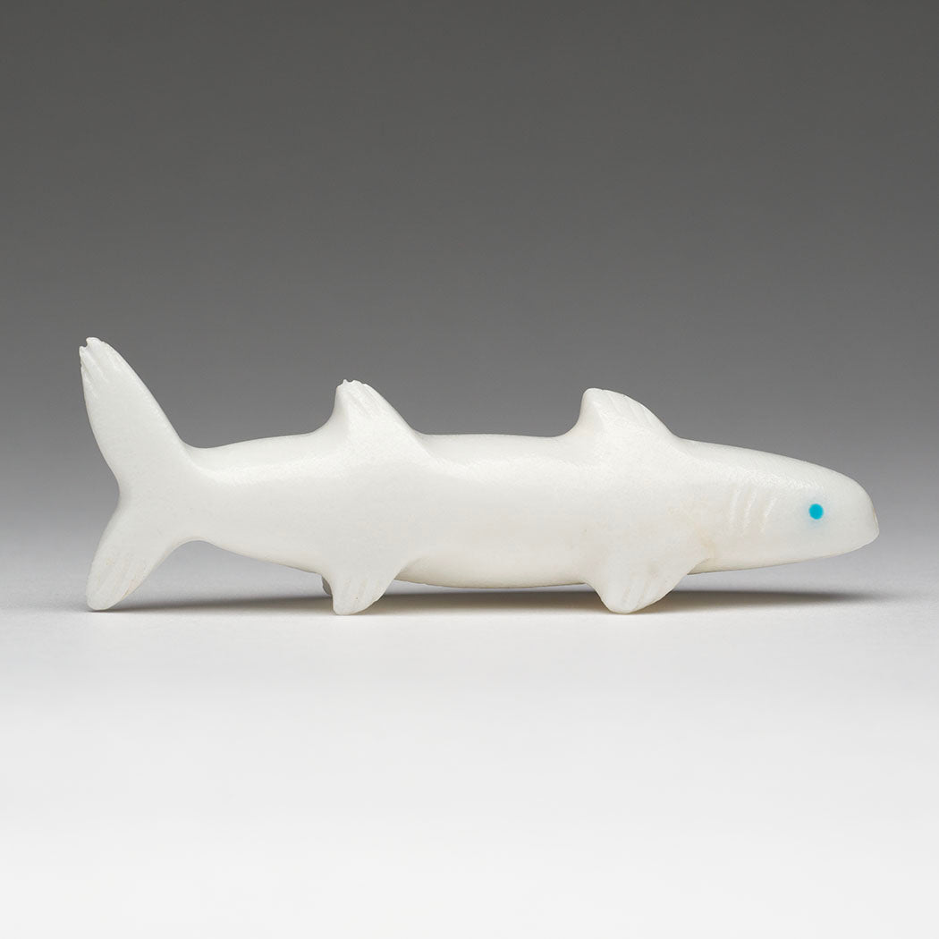 Brother Shark