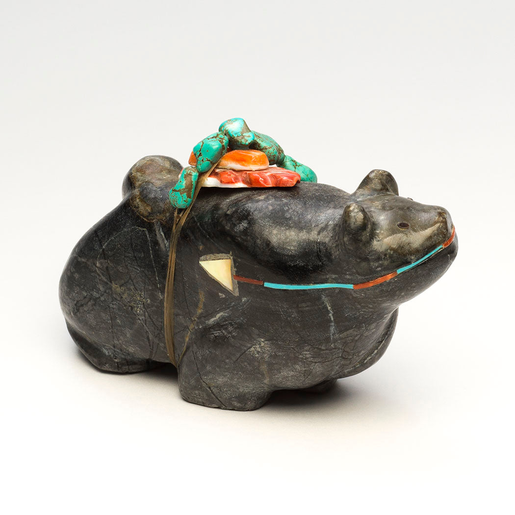 Boundary Setting Mountain Lion