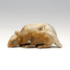 Intriguing Armadillo