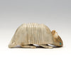 Intriguing Armadillo