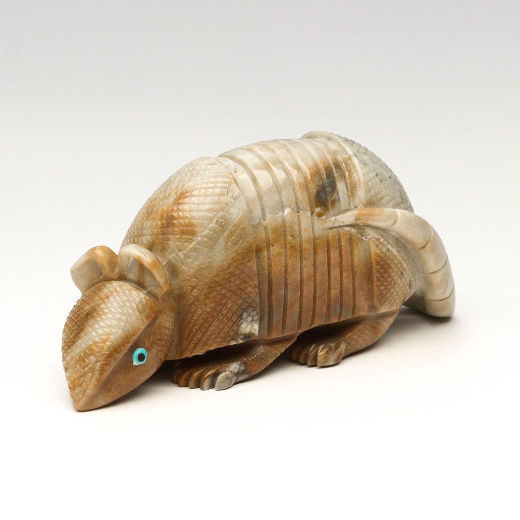Intriguing Armadillo
