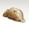 Intriguing Armadillo