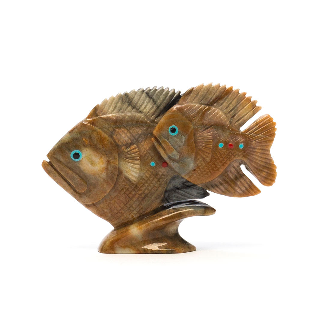 Paternal Bond Sunfish Pairing