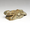 Spirited Lizard