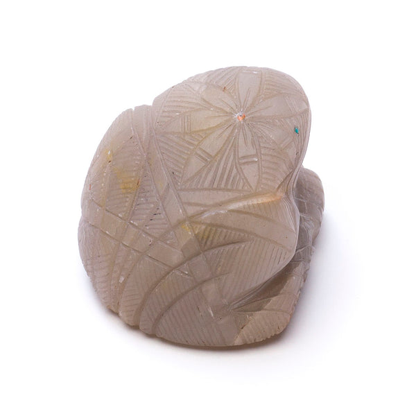 Perfectly Patterned Frog