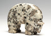 Granite Medicine Bear