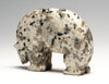 Granite Medicine Bear