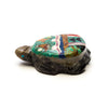 Night Sky Turtle