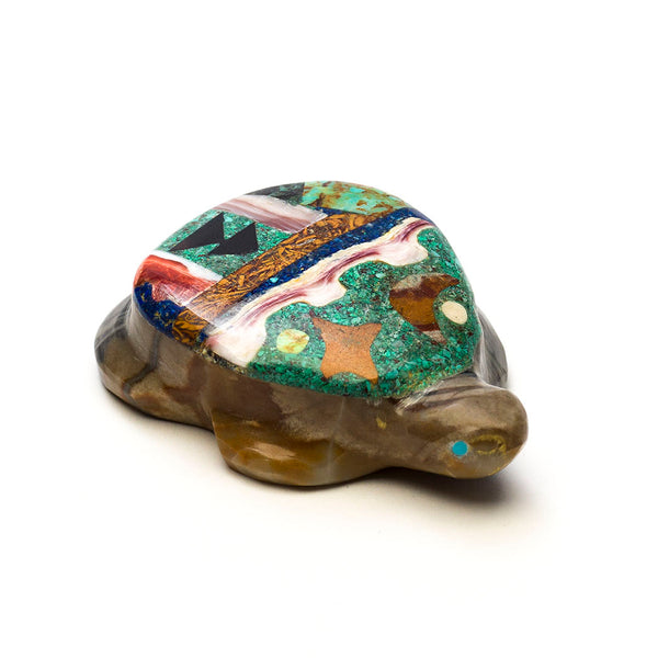 Night Sky Turtle