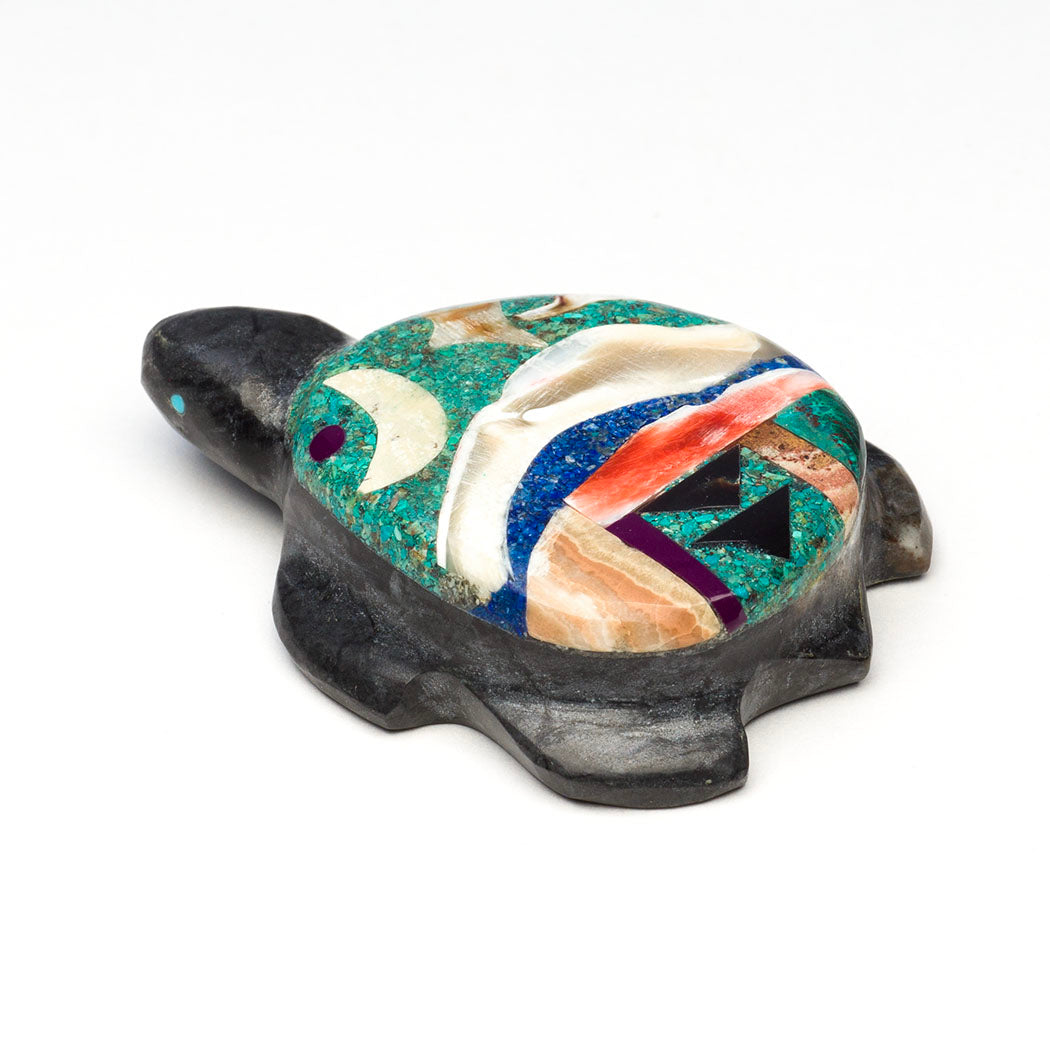 Cosmic Turtle