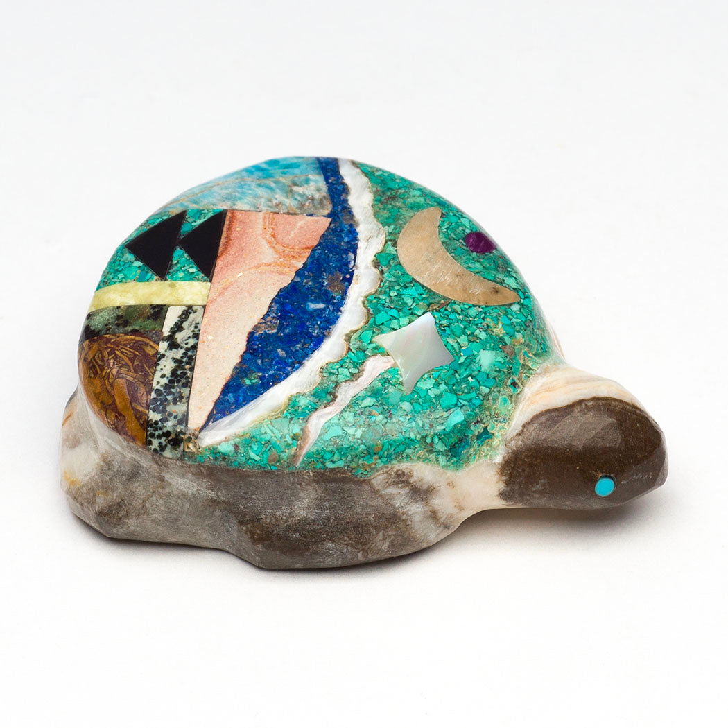 Cosmic Mosaic Turtle