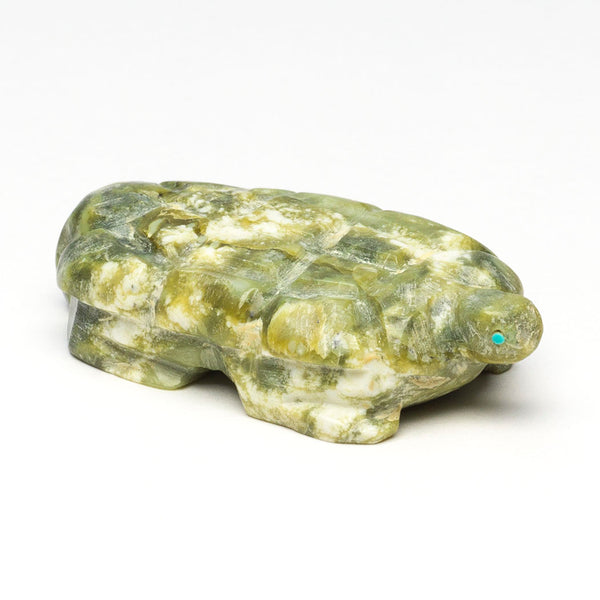 Grounding Presence Turtle