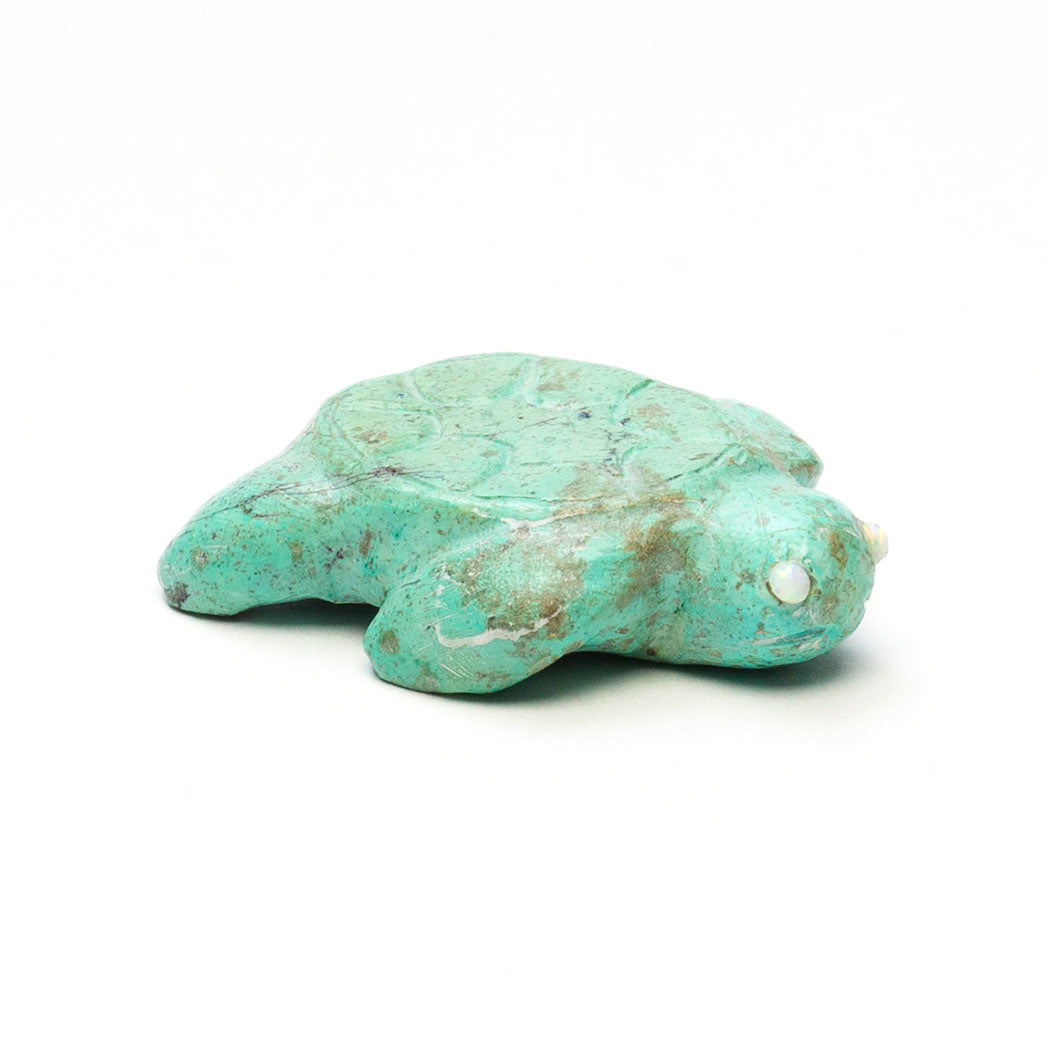 Gentle Waves Turtle Hatchling