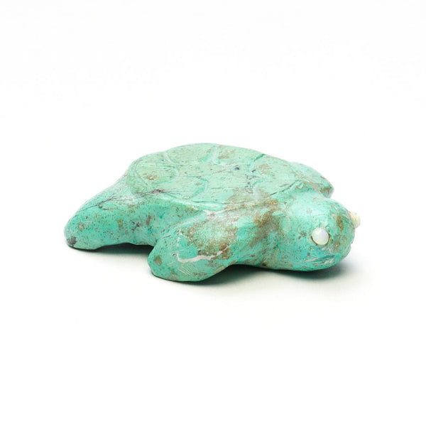 Gentle Waves Turtle Hatchling