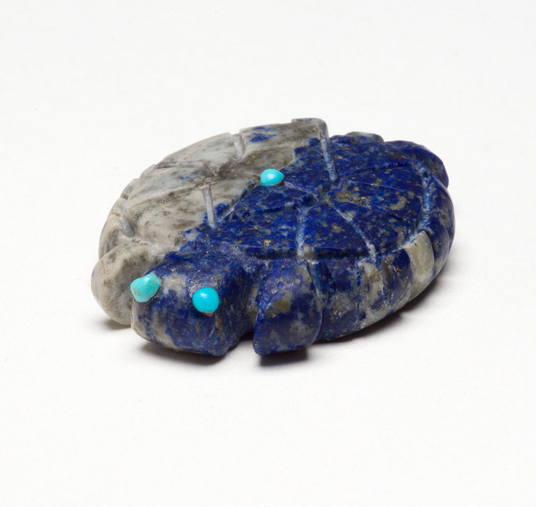 Worry Free Turtle