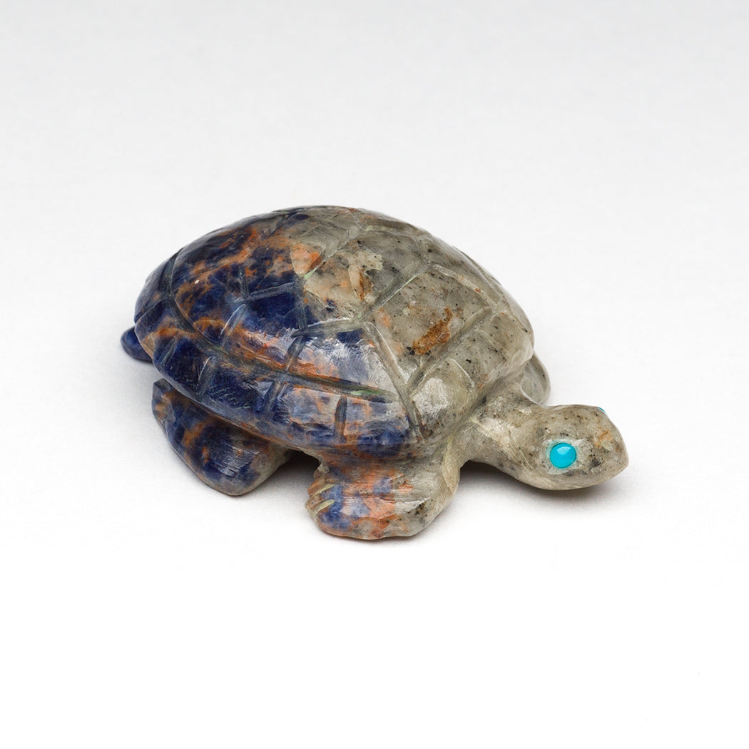 Consistent Motion Turtle