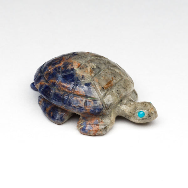Consistent Motion Turtle