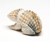 Fish Rock Serpentine Porcupine