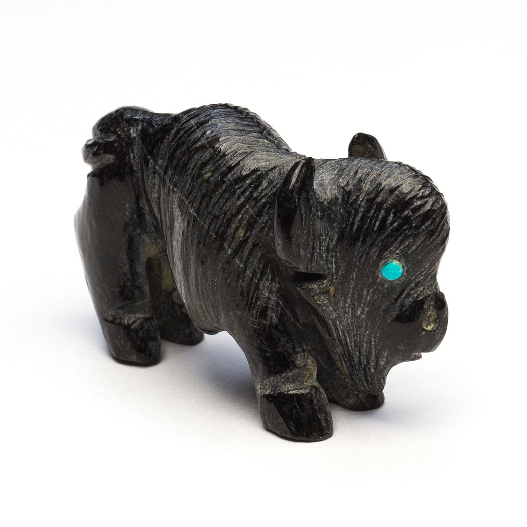 Thankful Everyday Bison