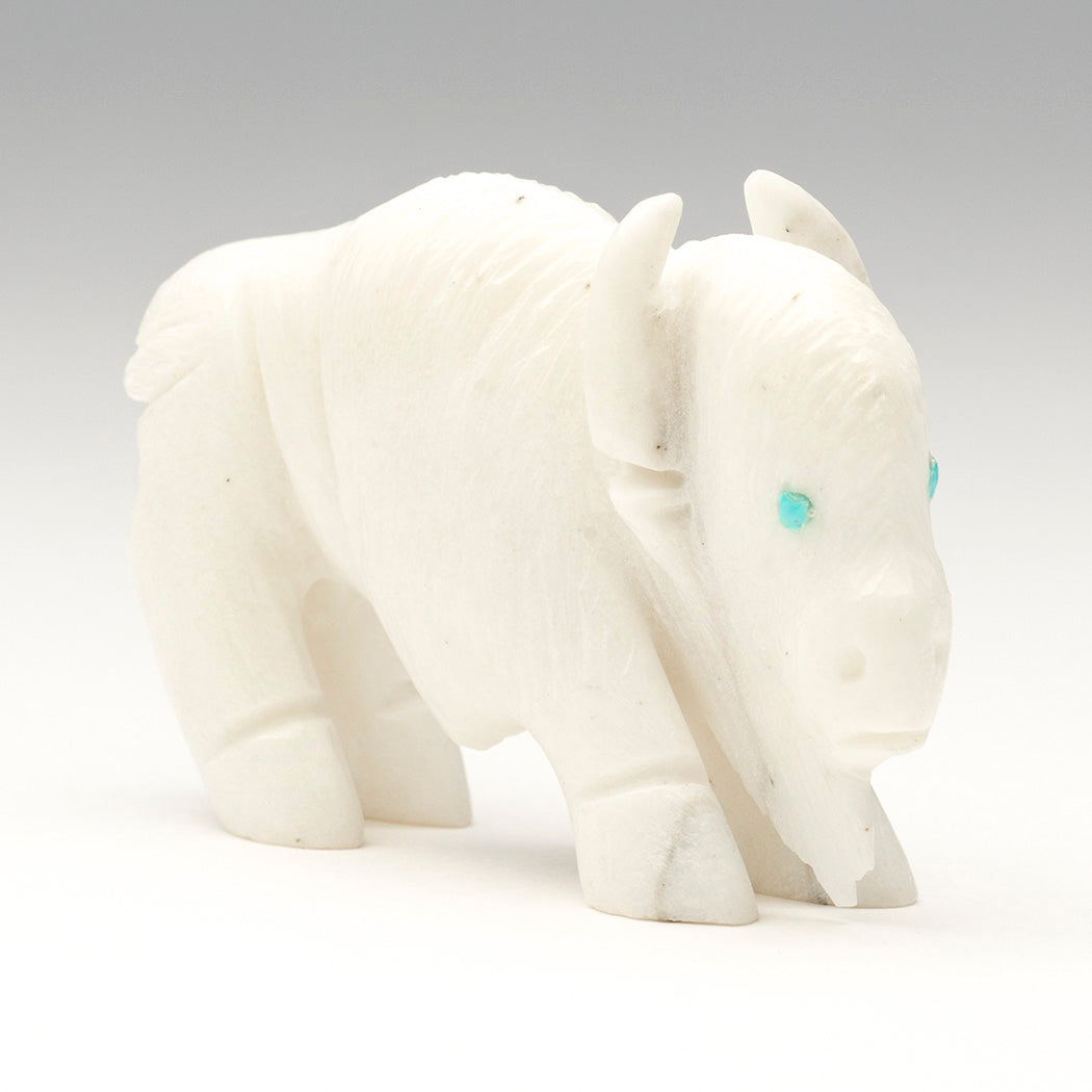 Sacred White Bison