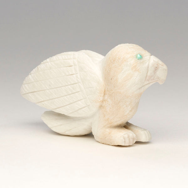 In The Eyes Of The Beholder Raptor