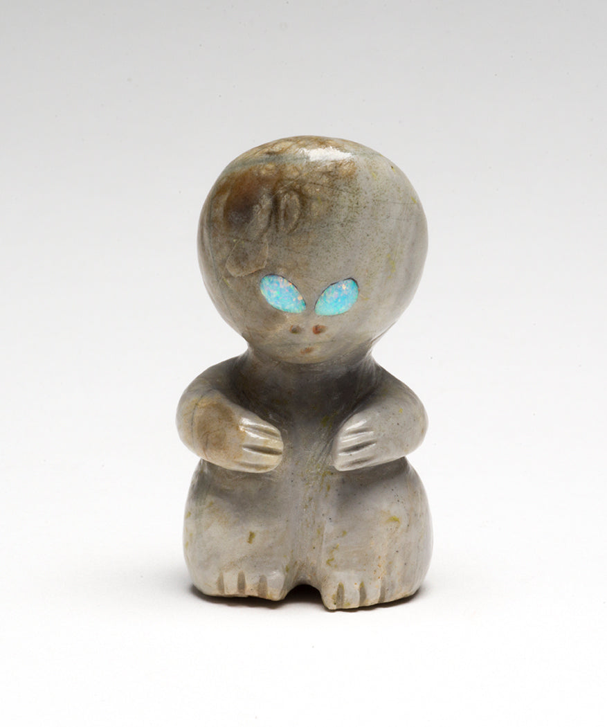 Extraterrestrial Visitor