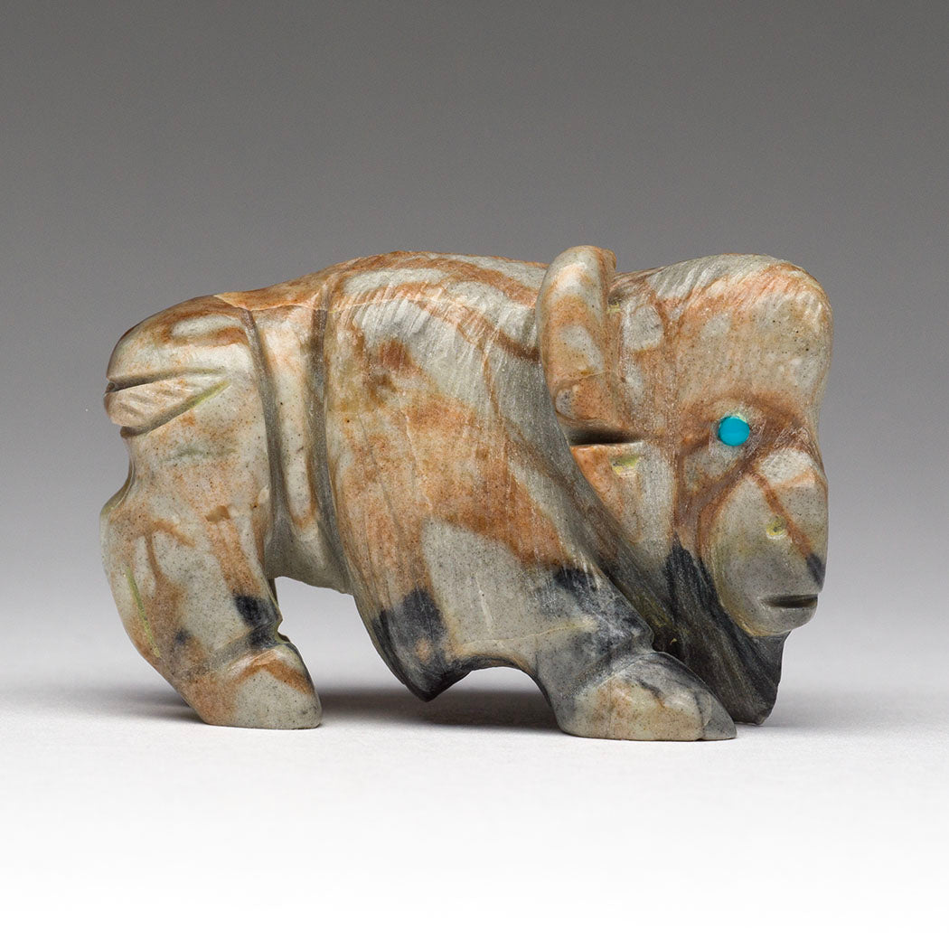 Bison Kinship
