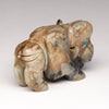 Bison Kinship