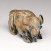 Bison Kinship