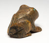 Charming Frog