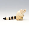 Canyon Ringtail