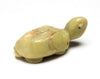 Turtle Hatchling