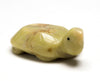Turtle Hatchling
