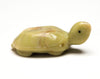 Turtle Hatchling