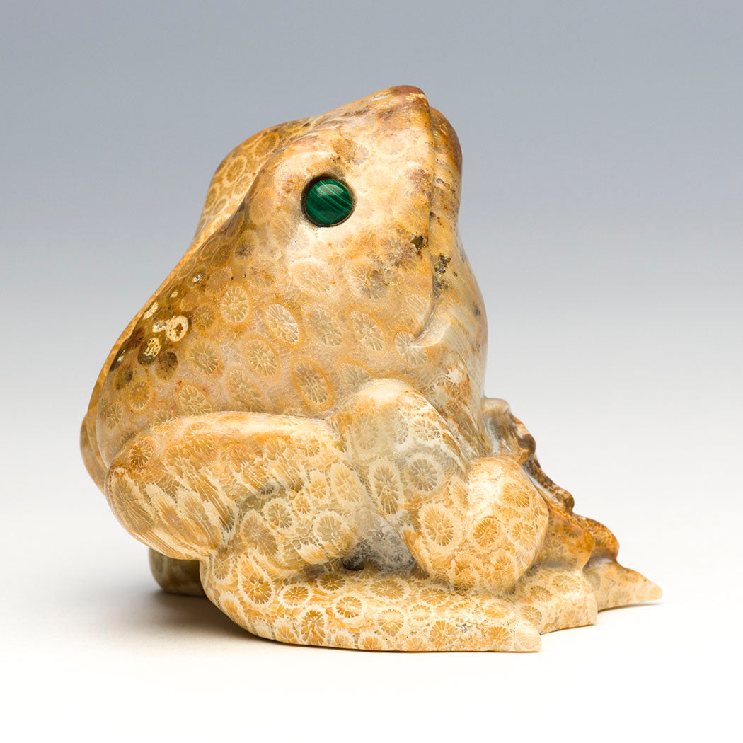Indonesian Fossilized Coral Frog