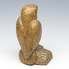 Poised & Perfect Owl