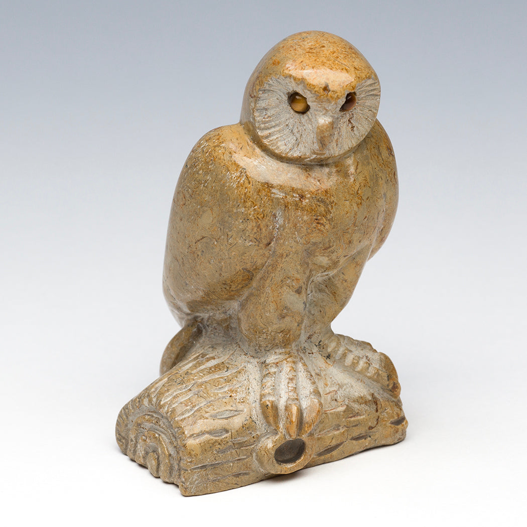 Poised & Perfect Owl
