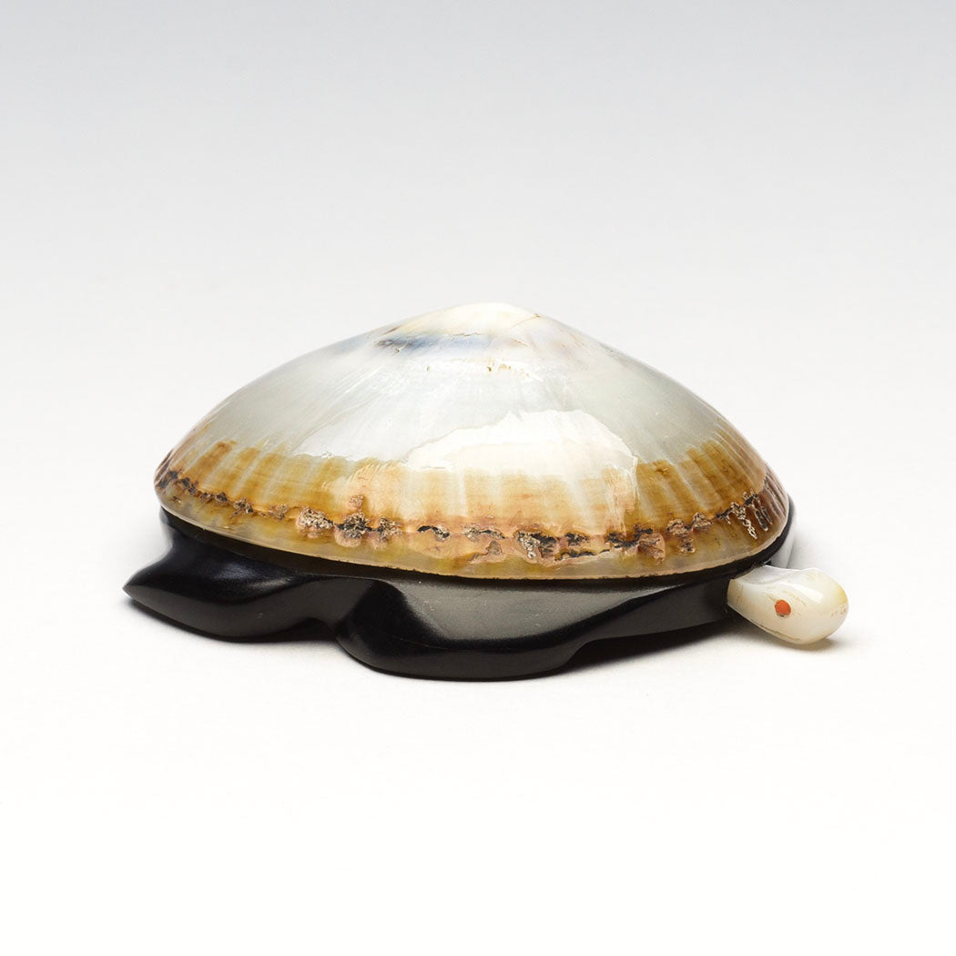 Prized Opihi & Pennsylvania Jet Sea Turtle