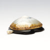 Prized Opihi & Pennsylvania Jet Sea Turtle
