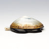Prized Opihi & Pennsylvania Jet Sea Turtle