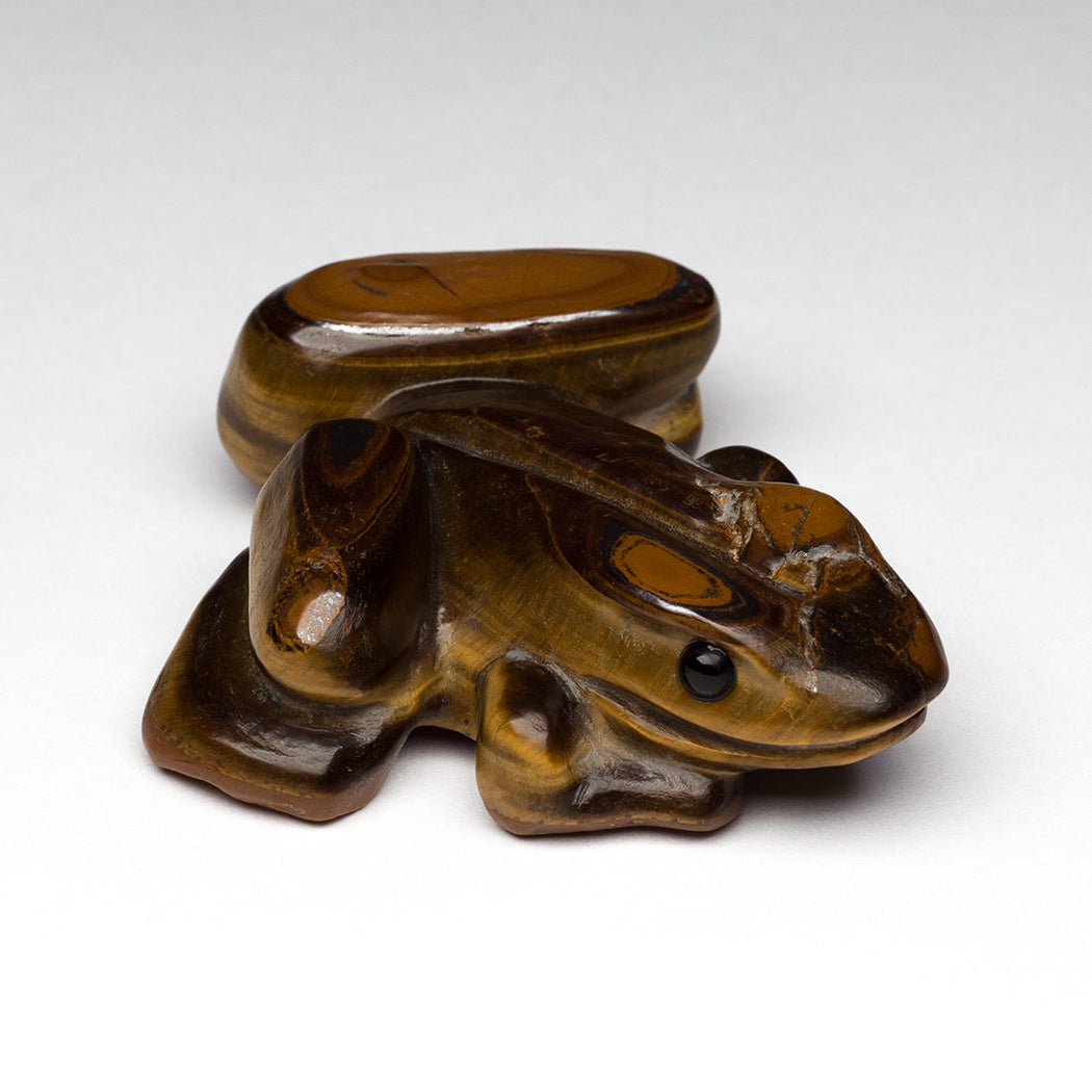 Walking Frog