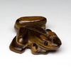 Walking Frog