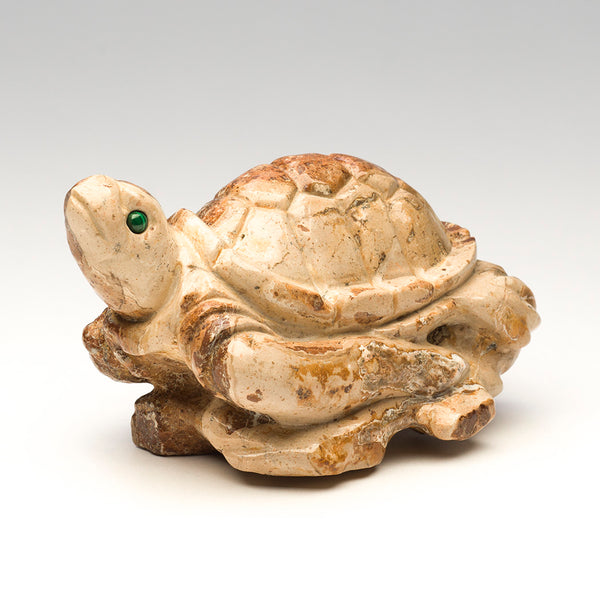 Journeying Sea Turtle