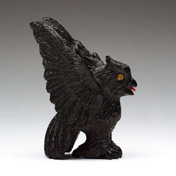 Pennsylvania Jet Owl