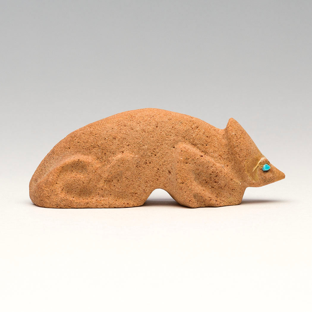 All-Seeing Chameleon